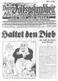 3.3 Hetze gegen jüdische Ärzte 